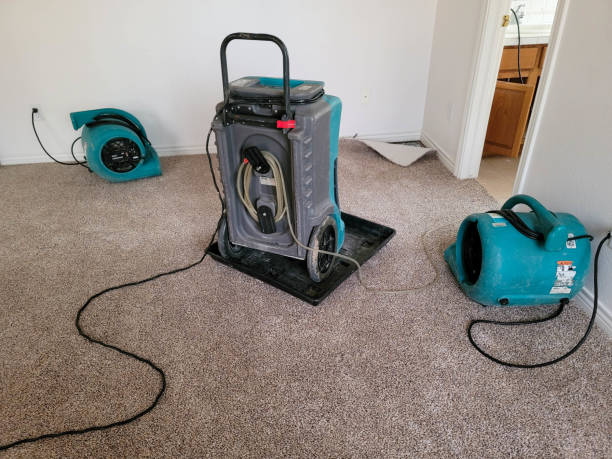 Best Basement water damage restoration  in Desert Hot Springs, CA