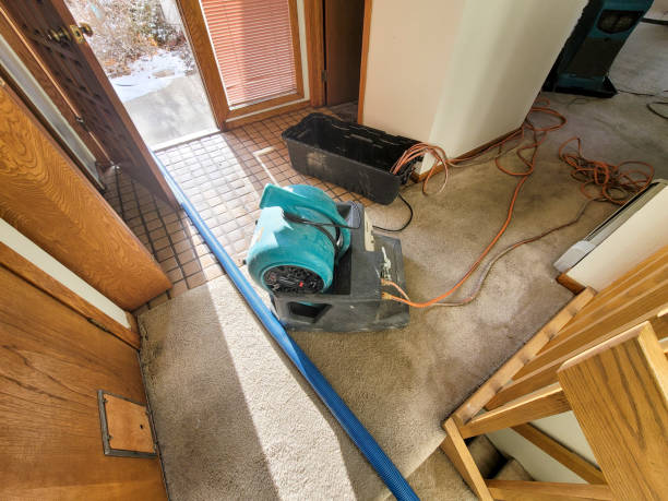 Best Basement water damage restoration  in Desert Hot Springs, CA