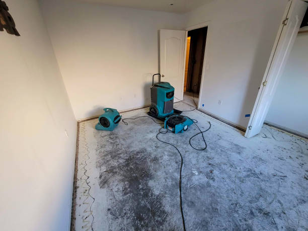Best 24-hour water damage restoration  in Desert Hot Springs, CA